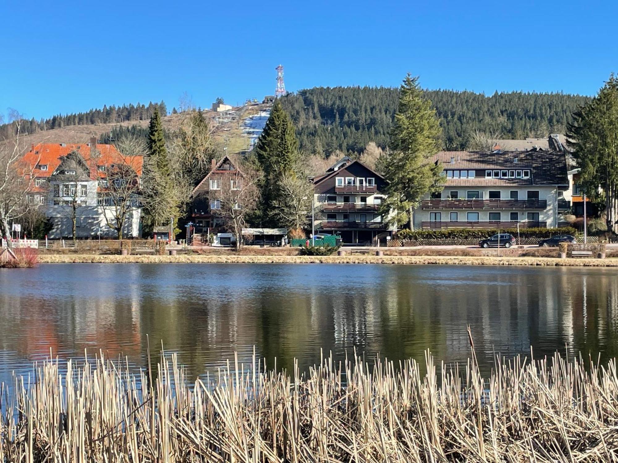 Wohnunghahnenkleeld Goslar Bagian luar foto